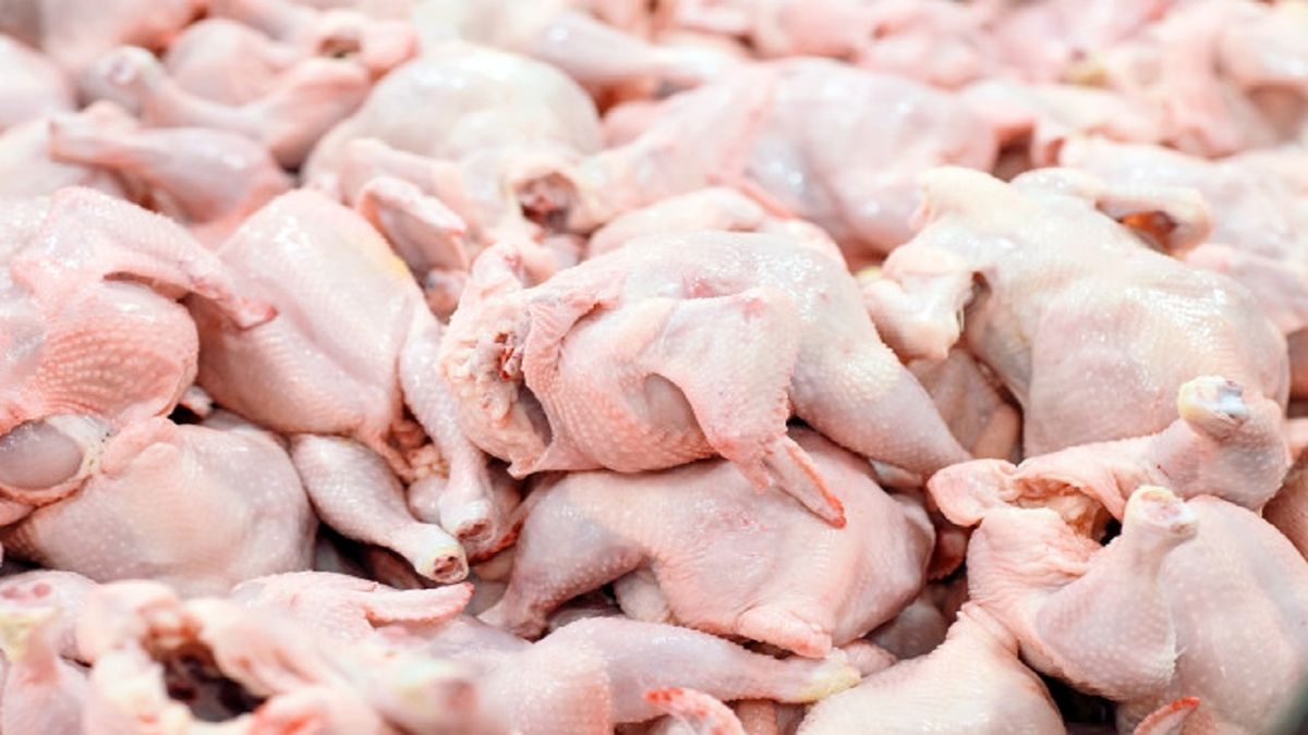 وظیفه مسوولان تامین مرغ سالم و با کیفیت است/ وجود ۱۳ کشتارگاه در استان کرمان ظرفیت بالایی است