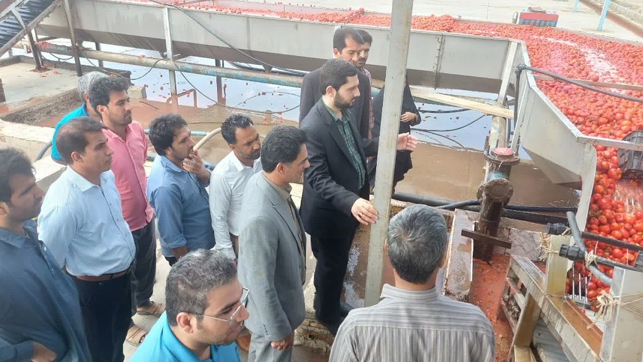 بازدید مدعی‌العموم از ۳ کارخانه‌‌ تولید رب‌گوجه در عنبرآباد