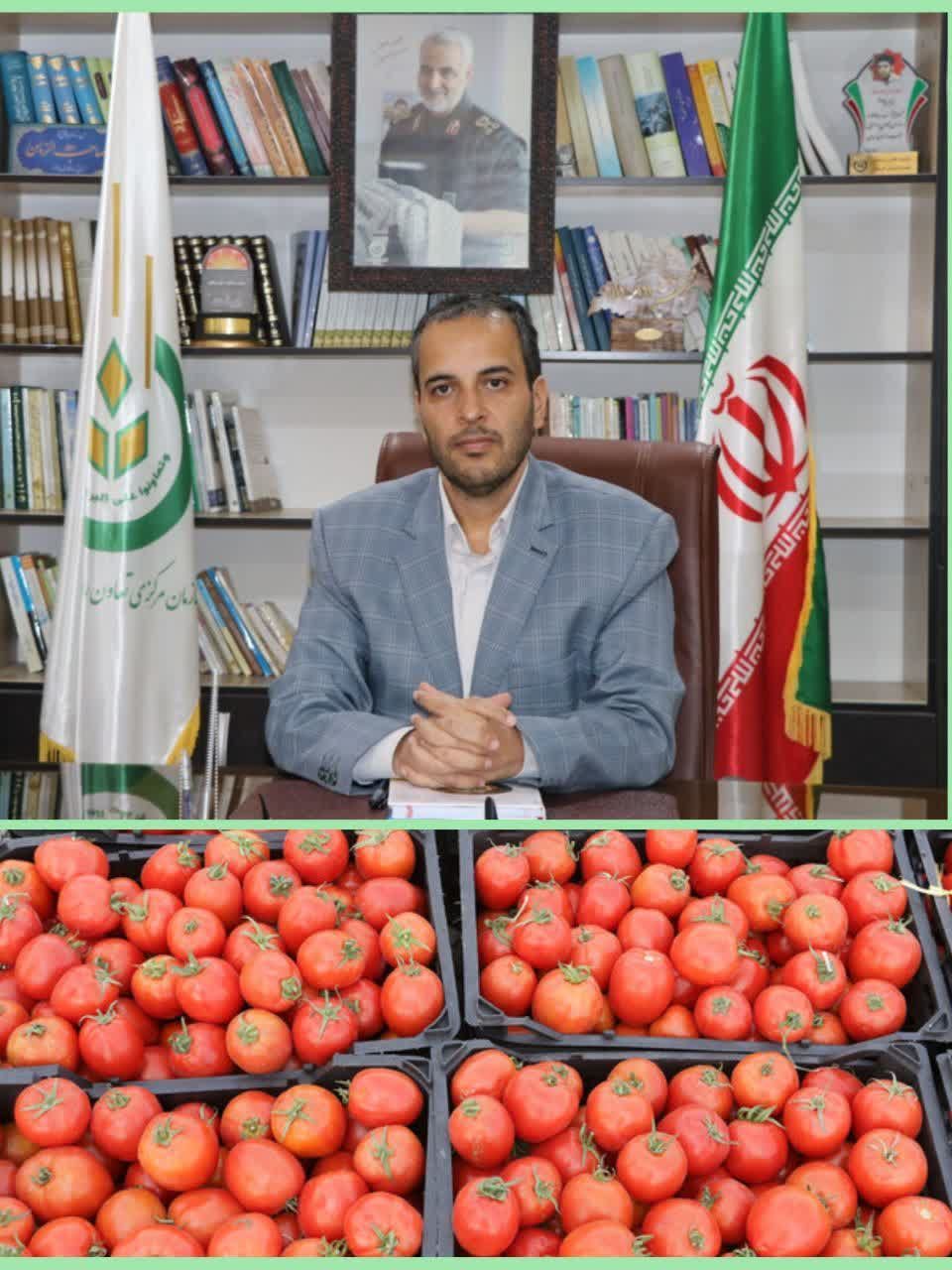 خرید توافقی گوجه فرنگی توسط تعاون روستایی جنوب کرمان
